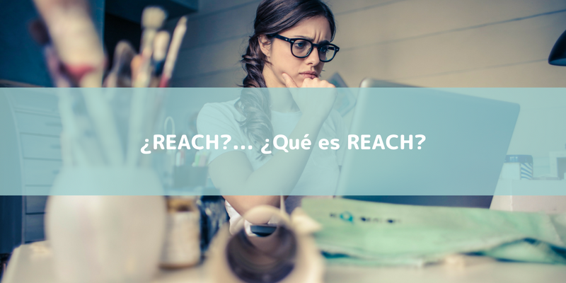 ¿Qué es REACH?